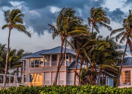 stockphoto external house with palms at sunset